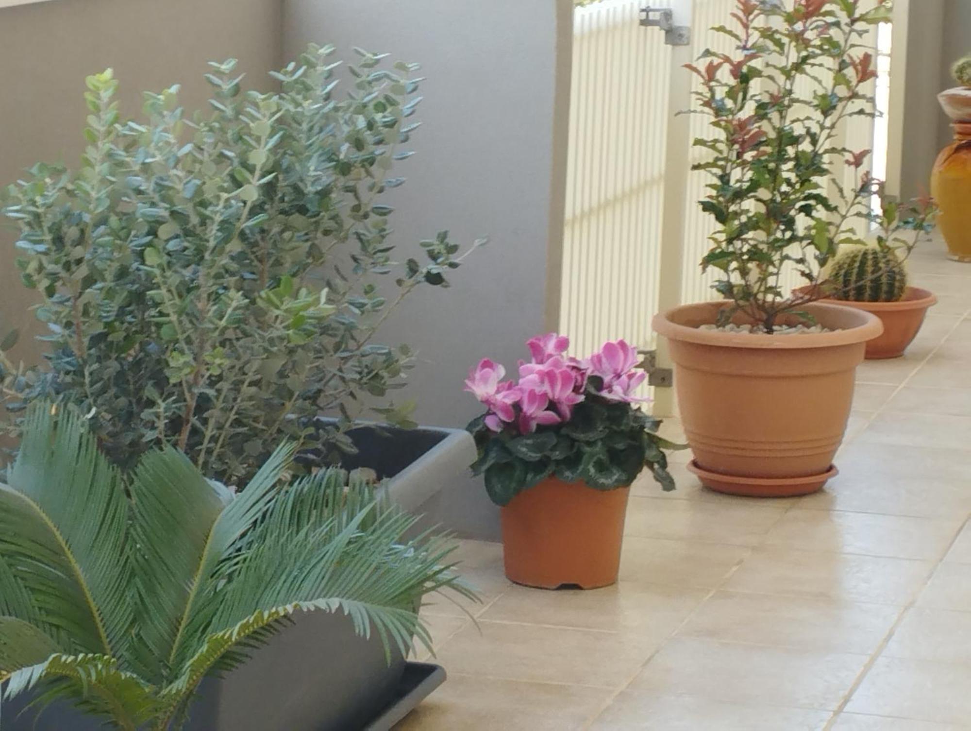 モノーポリ Da Luigi Locazioni Brevi Turistiche Bed & Breakfast 部屋 写真